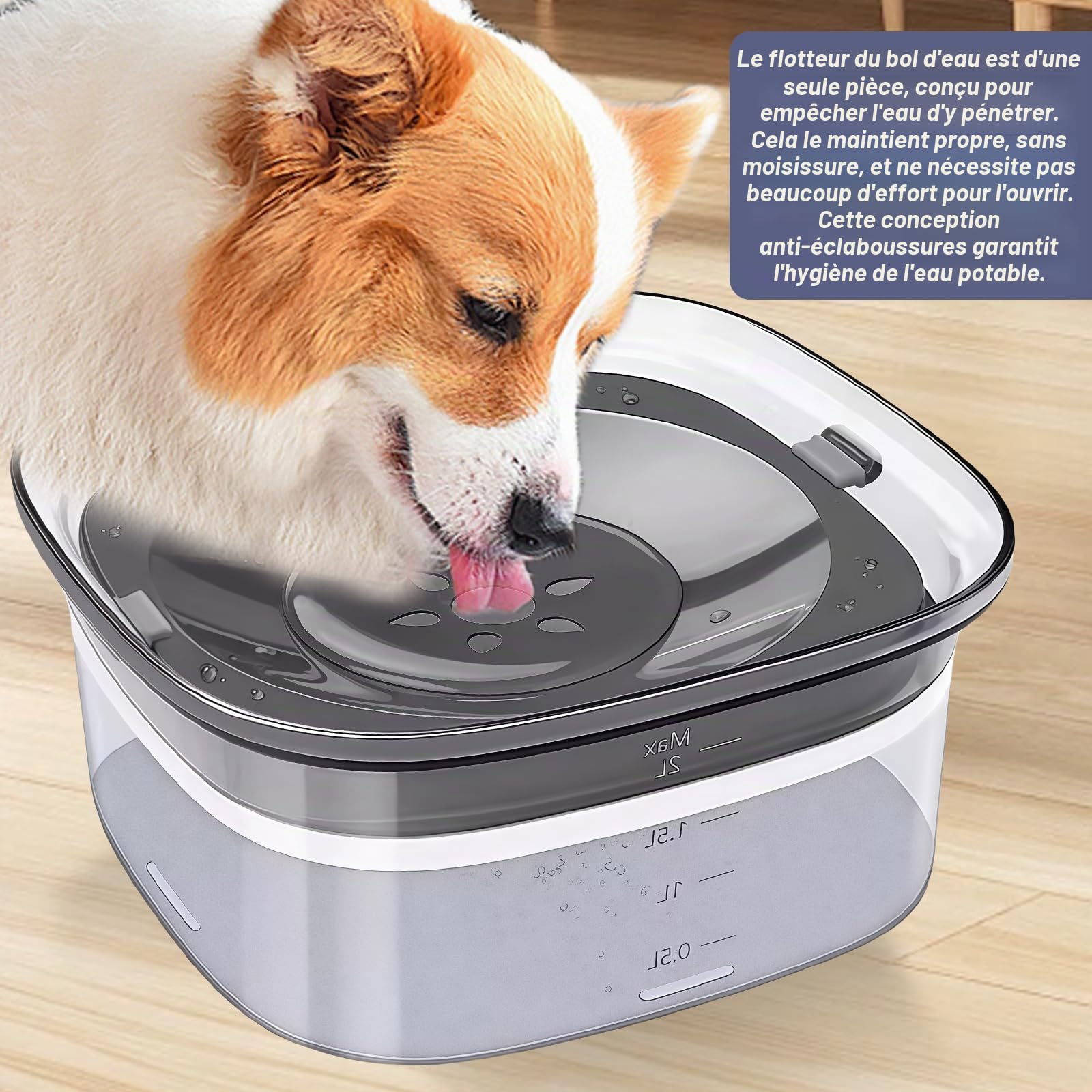 Gamelle d'eau sans renversement pour chiens : LEKEFETO 2L sans bavure, gamelle d'eau pour chien, chats et animaux domestiques, anti-fuite et antidérapante, transparente