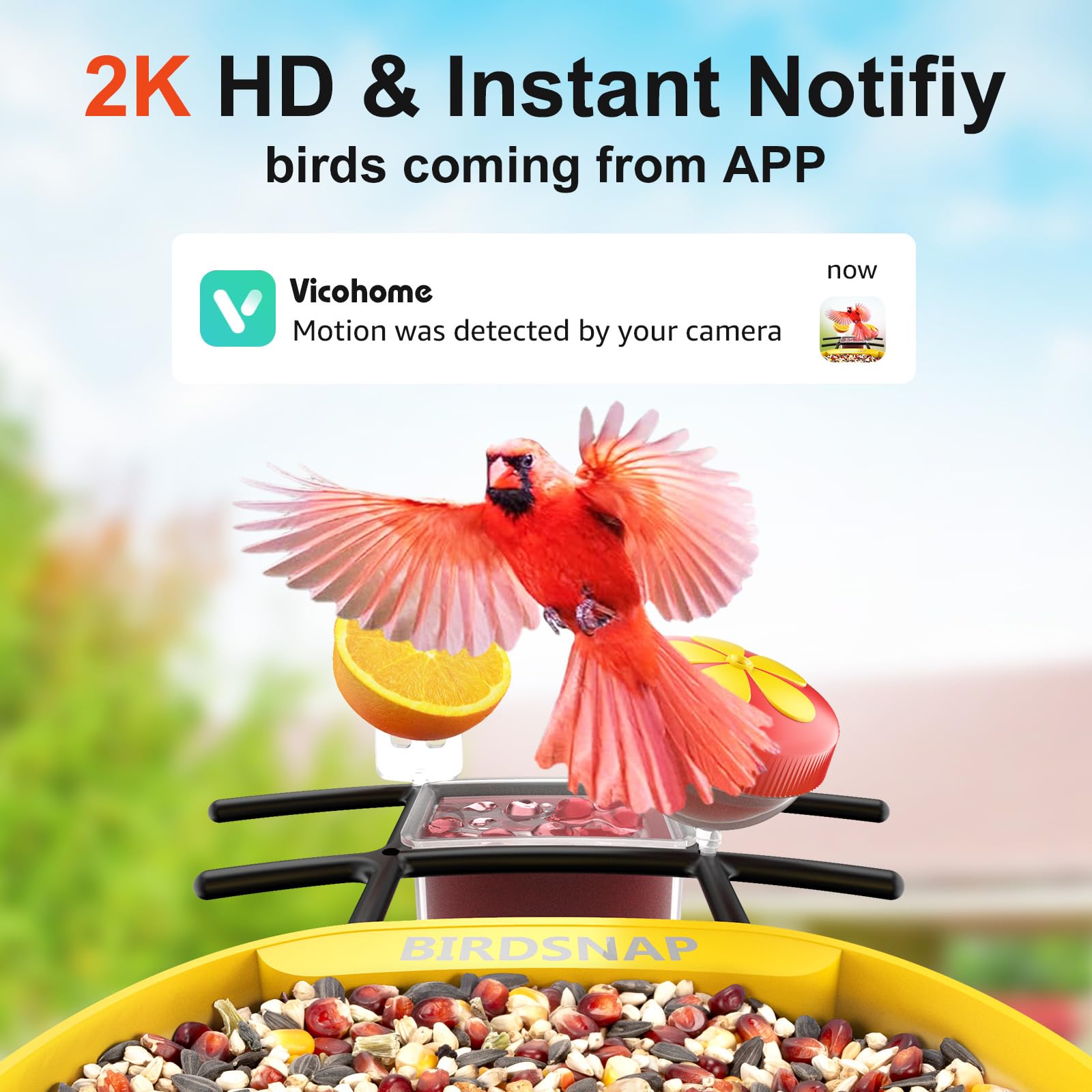 birdsnap® PAV-Comedero para pájaros con cámara, 2K HD con tarjeta de 64 GB, panel solar inteligente de identificación de inteligencia artificial, transmisión en vivo, detección de movimiento