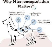 Vista 81 de Natural Dog Company Liver & Kidney Supplement for Dogs – 90 Soft Chews with Milk Thistle, Cranberry, Dandelion Root, Turmeric & Astragalus
