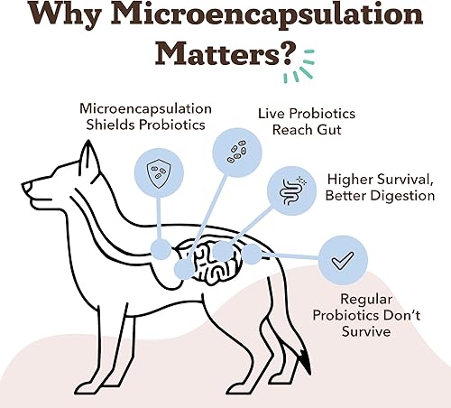Vista 12 de Natural Dog Company Masticables calmantes para perros, suplemento para aliviar el estrés y la ansiedad con manzanilla, raíz de valeriana y Fuerza