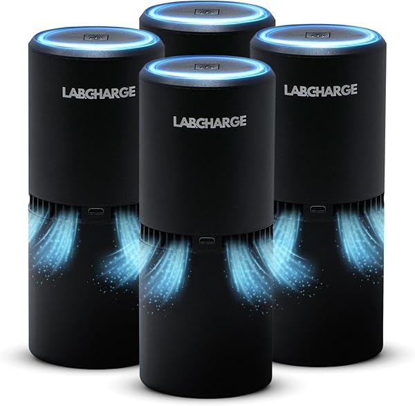 Lab Charge Small Ionic Air Purifier for Home & Bedroom – Silent HEPA Filter – Covers 250 Sq Ft - Free Cleaner – Compact & Black Design - Pack of 4