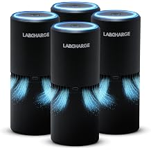 Lab Charge    &     HEPA    250       &  - 4