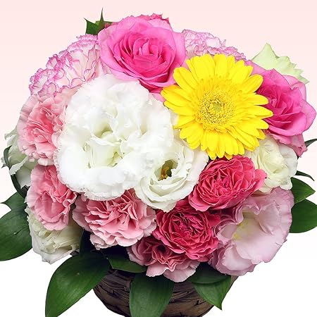 Amazon 花 誕生日 フラワーギフト おまかせアレンジメント フラワーアレンジメント オンライン通販