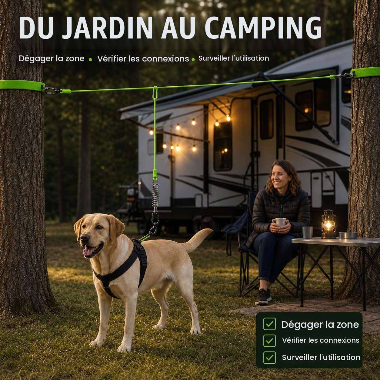 Câble d'attache robuste de 18,3 m - Système de chariot pour chiens de taille moyenne et camping - Grand câble de course pour chiens pesant jusqu'à 113,4 kg