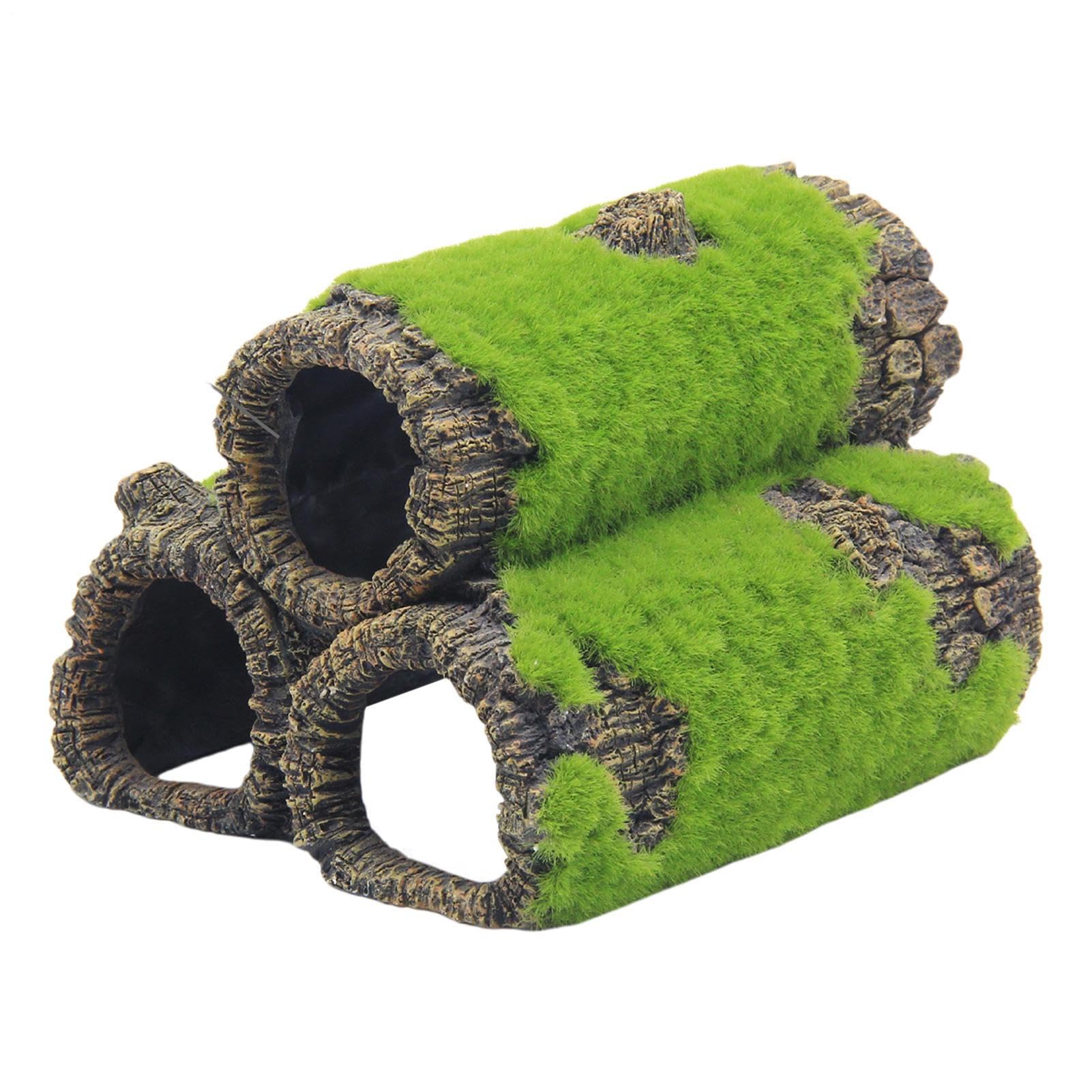 Grotte pour poissons d'eau douce et abri de repos pour Betta