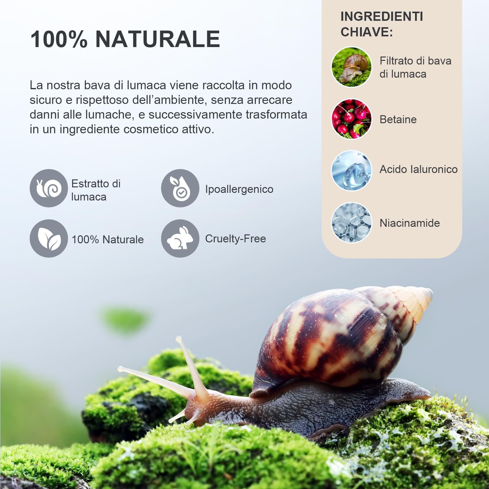 Siero Viso 100ml con 98% Bava di Lumaca, Niacinamide e Acido Ialuronico, Antirughe, Antimacchie Illuminante, e Antietà, si Assorbe Rapidamente dalla Pelle