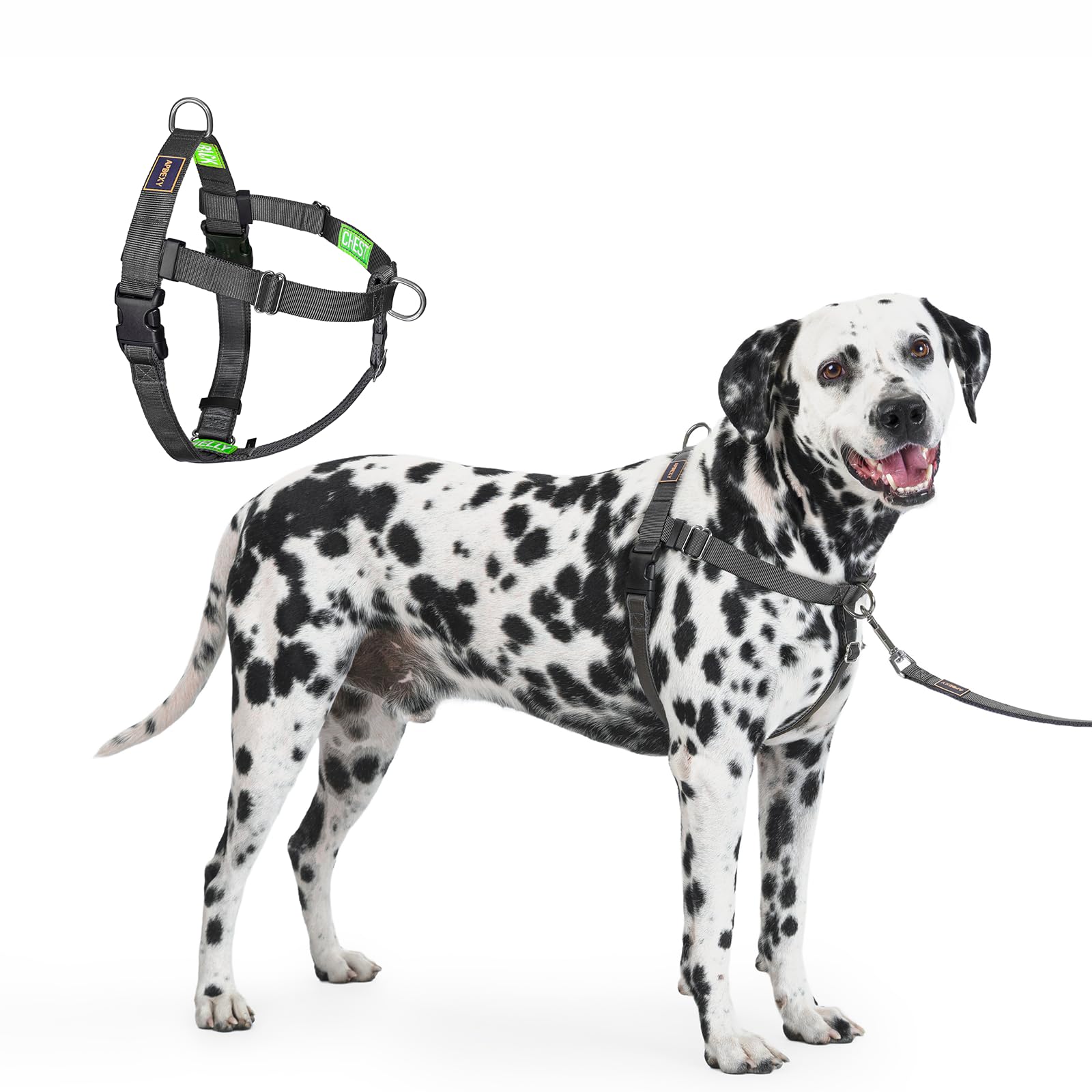 Amazon.com : APDEXY Freedom No Pull Dog Harness for Large Dogs