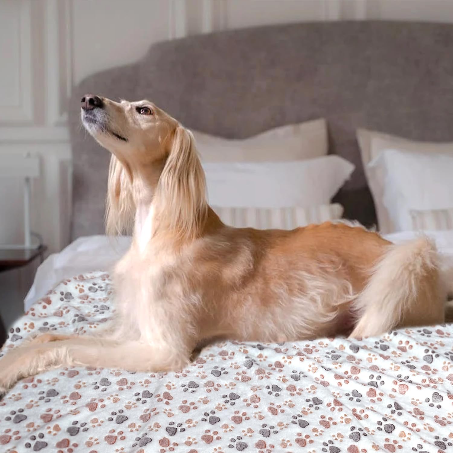 Dog Blankets for Large Dogs, 1 Pc Dog Blanket Washable, Soft Fluffy Flannel Pet Blanket Mat Cover for Bed Couch, Cute Print Puppy Blanket 60" x 50" - Image 8