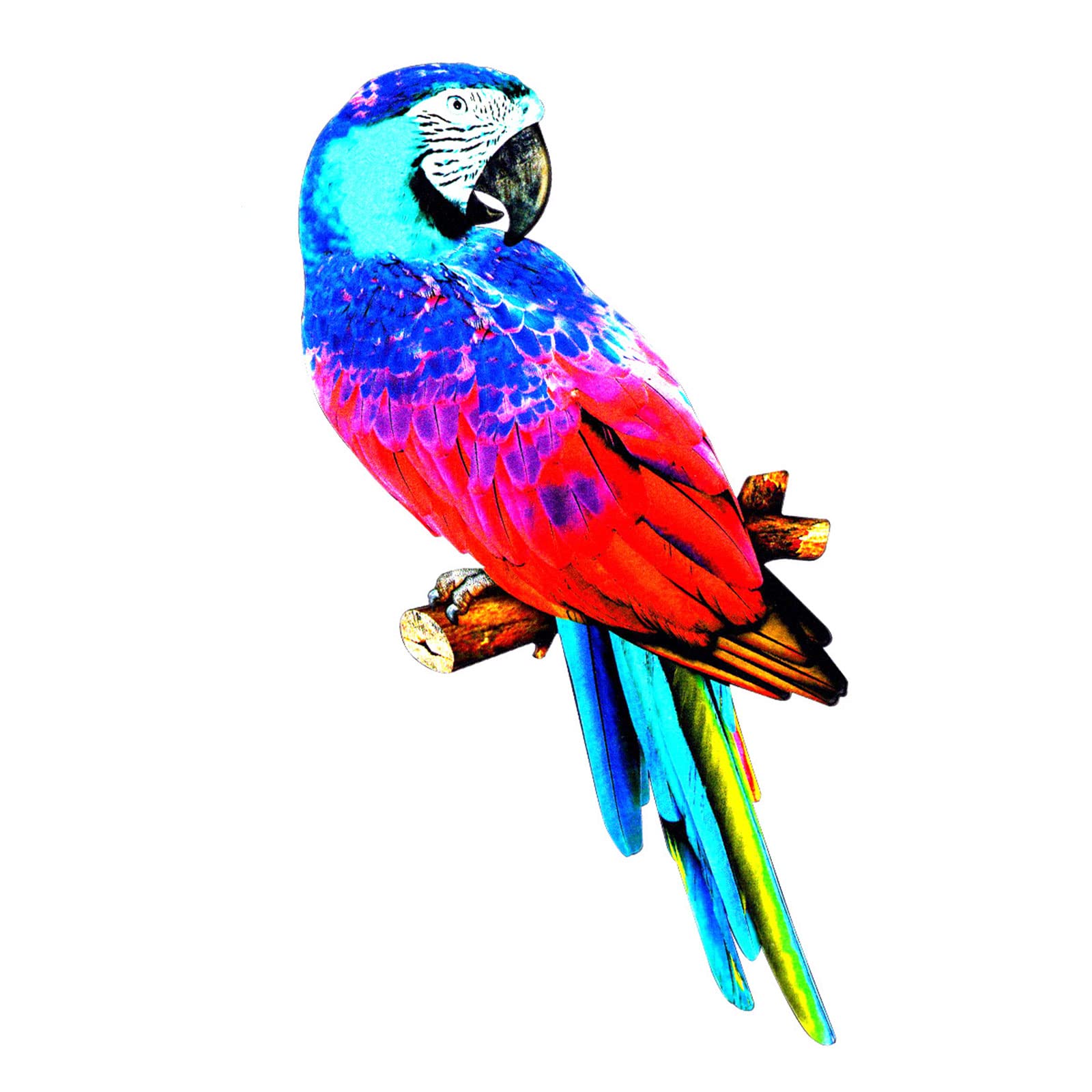 PANGBOER 4 statuette da parete in metallo da 38 cm con uccellini colorati da appendere per interni ed esterni