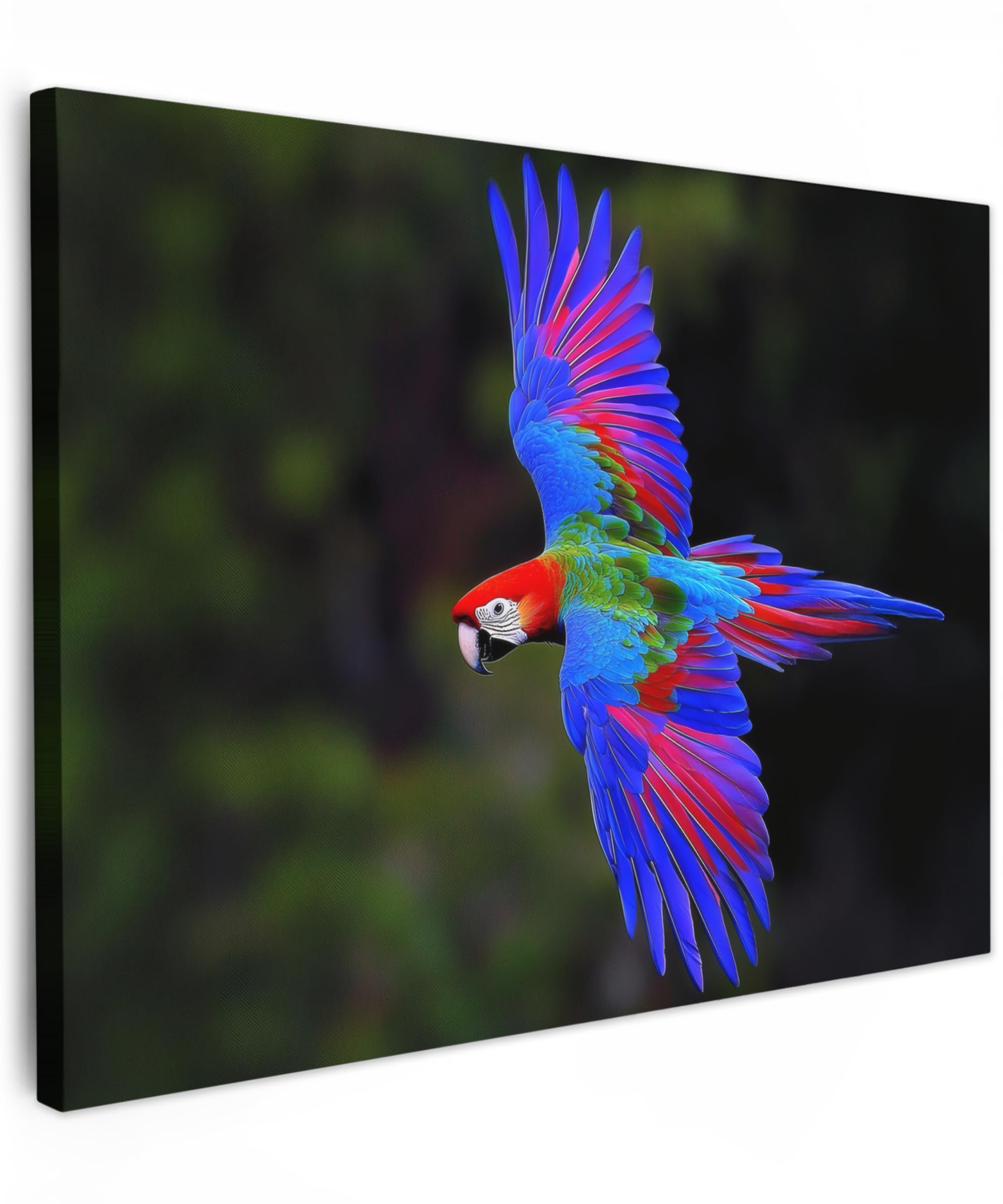 MuchoWow© Canvas Wall Art 28"x20" / 70x50 cm Decor Prints for Living Room Decorative Canvases Hall Artwork Bright - Parrot - Forest - Wings