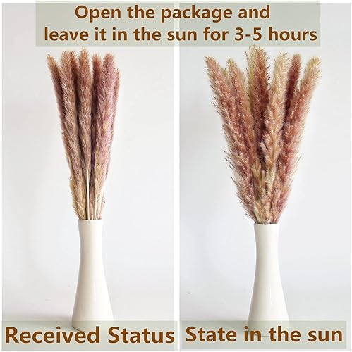 Miniatura 11 de 10 tallos de 46 pulgadas, decoración de hierba blanca de las pampas, hierba de pompas grande, ramo de decoración del hogar bohemio neutro, hierba