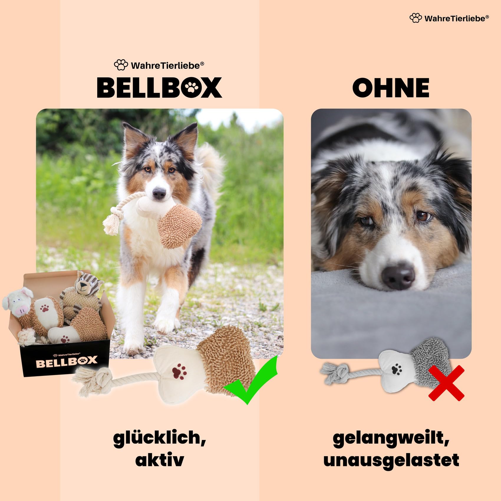 Wahre Tierliebe Bellbox - All in One Hundespielzeug I Spielzeugbox für Hunde | 6X spannende Quietsch, Kau & Seil Spielzeuge für den Spiel und Kautrieb I Robustes Zerrspielzeug (6X Stück mit Box)