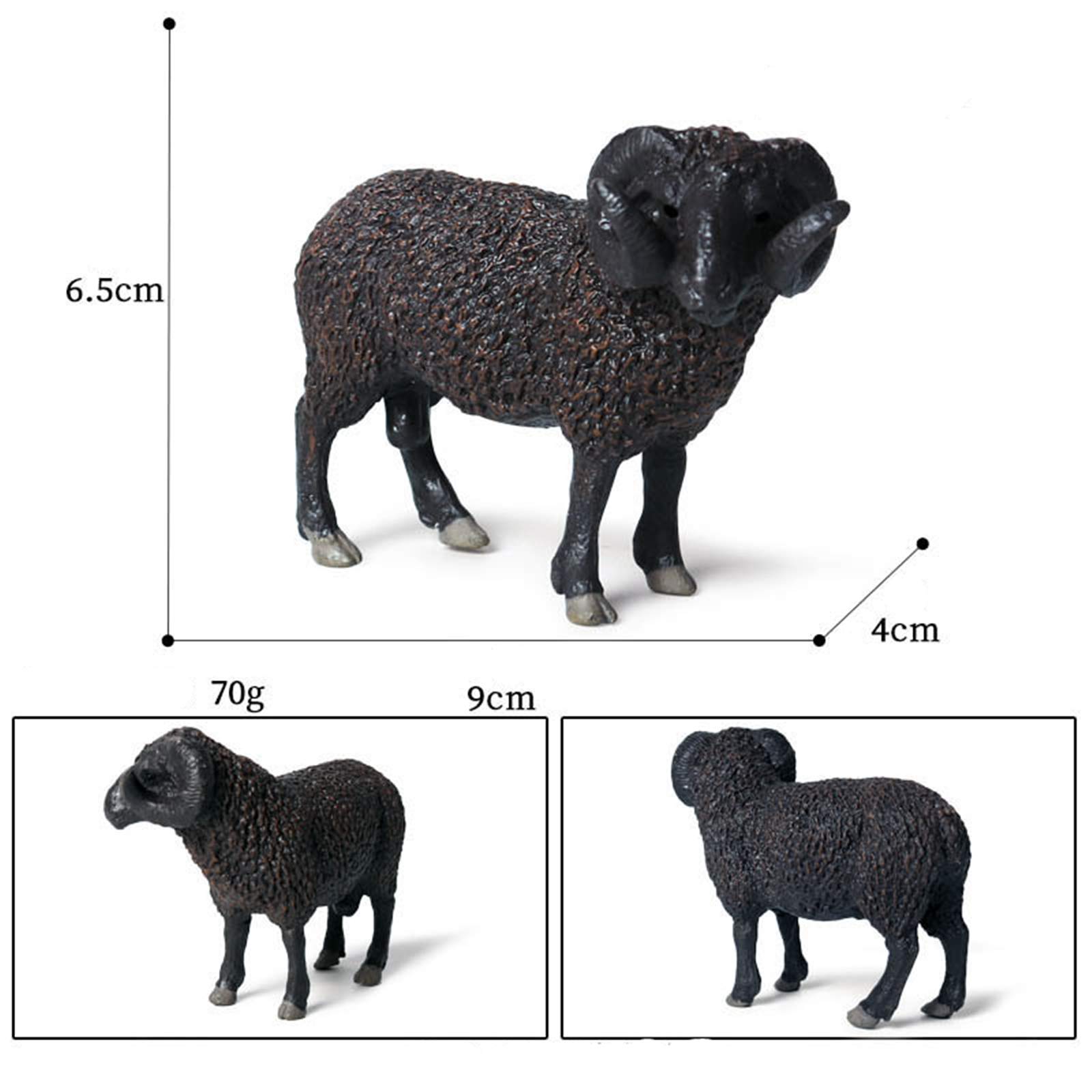 Amazon.co.jp: Eden Toys ヒツジ 羊 綿羊 ヤギ 山羊 動物 野生動物