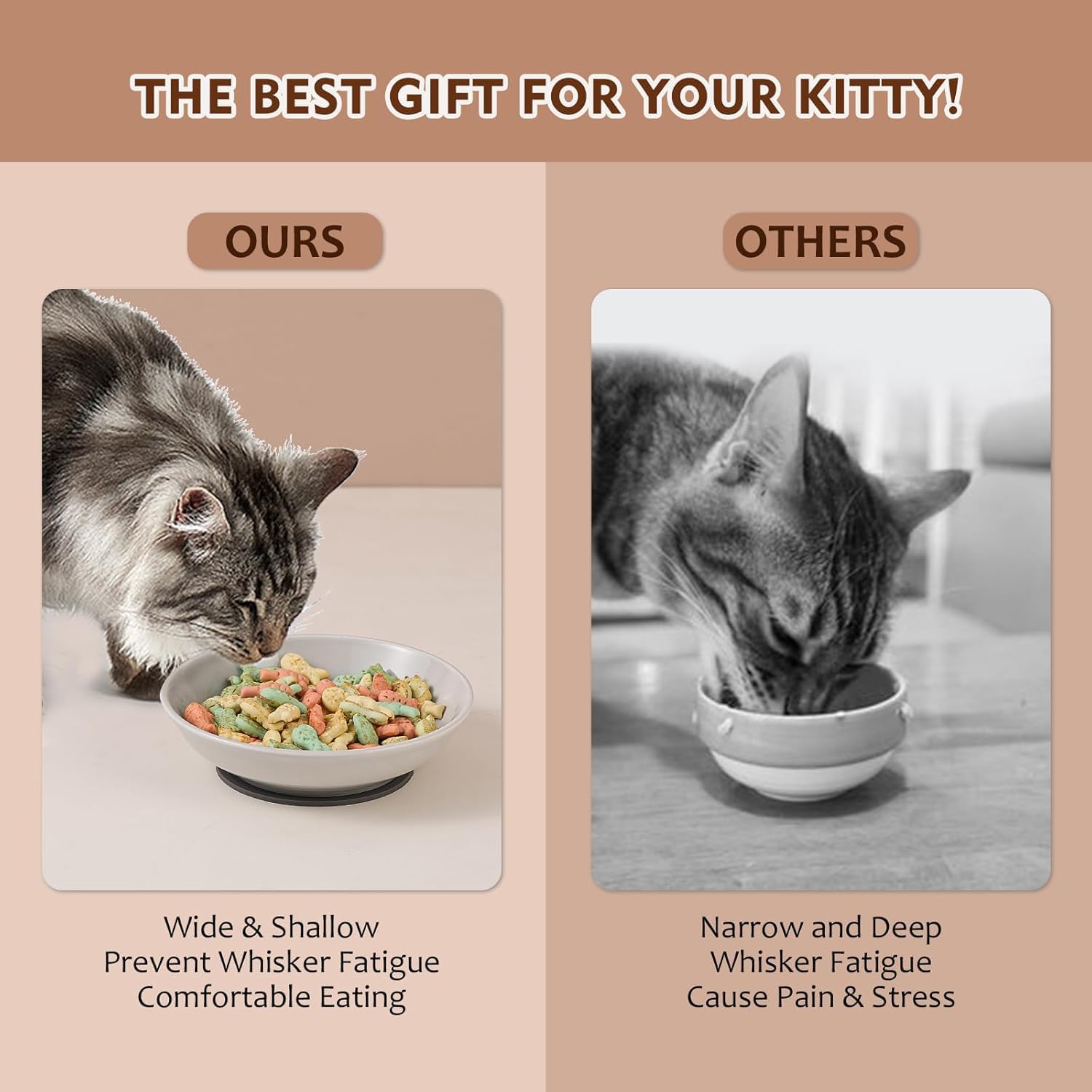 Ceramic Cat Food Bowl Set - 5.6 inch Colorful Cat Feeding Bowls with Non Slip Pads - Wide Shallow Whisker Friendly Plates Cute Dish - Microwave and Dishwasher Safe - 6 Pack - 5.3 oz