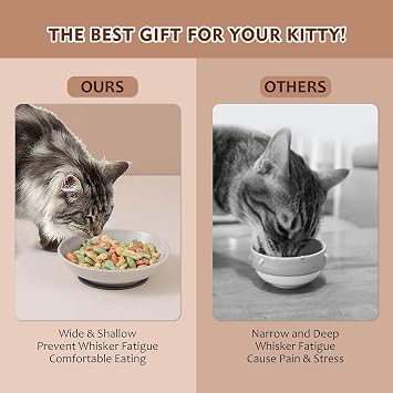 Ceramic Cat Food Bowl Set - 5.6 inch Colorful Cat Feeding Bowls with Non Slip Pads - Wide Shallow Whisker Friendly Plates Cute Dish - Microwave and Dishwasher Safe - 6 Pack - 5.3 oz