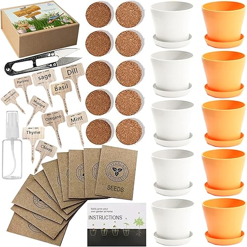 Kit de cultivo de 10 hierbas para ventana de jardín, para interiores, juego de plantas de jardín de cocina, regalos de iniciación de jardinería para