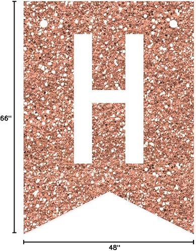 Miniatura 10 de Andaz Press Banderín colgante para decoración de fiesta, rosa, fucsia y rosa intenso, feliz cumpleaños, paquete de 1, aproximadamente 5 pies,