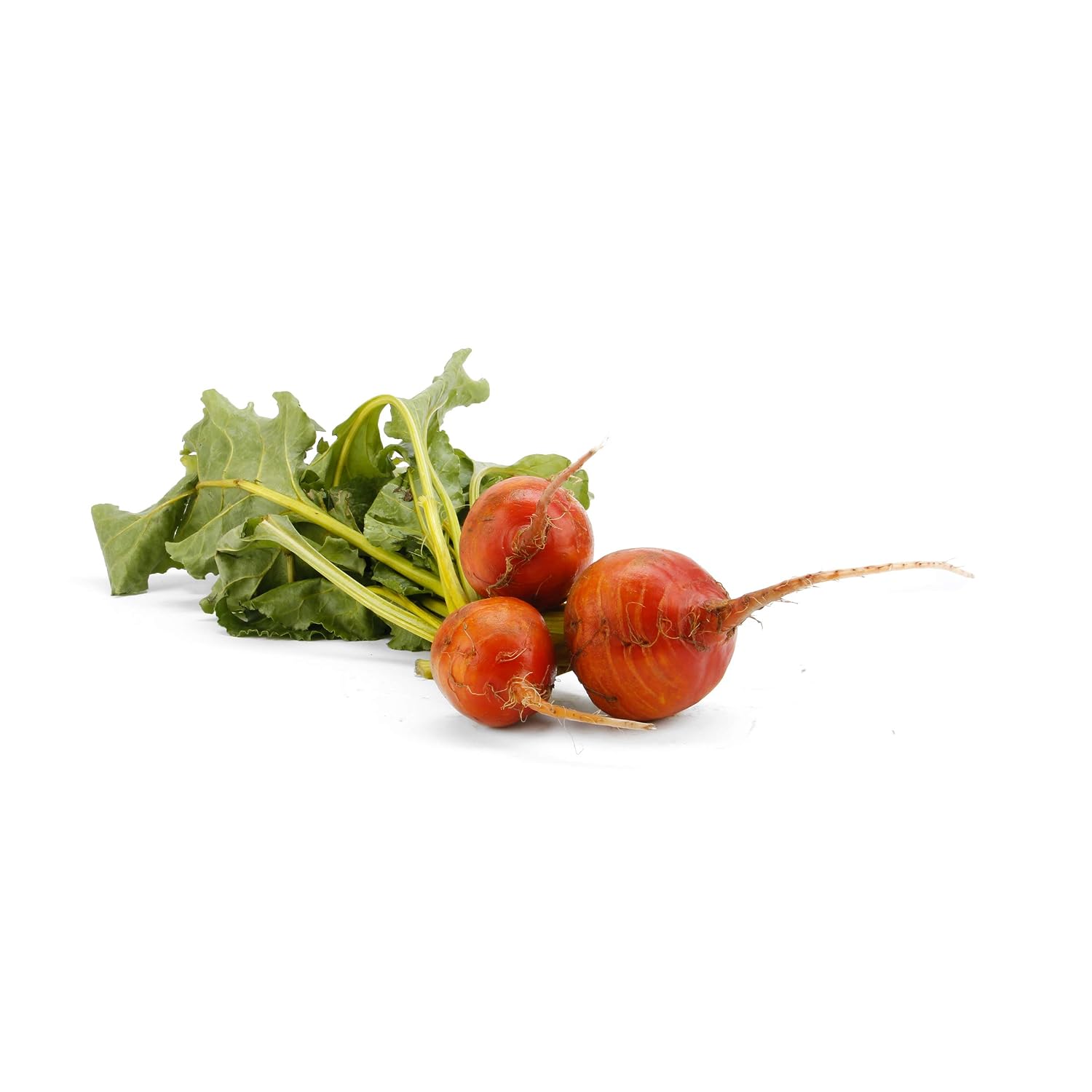 Root Beet Gold Bunch Organic, 1 Each