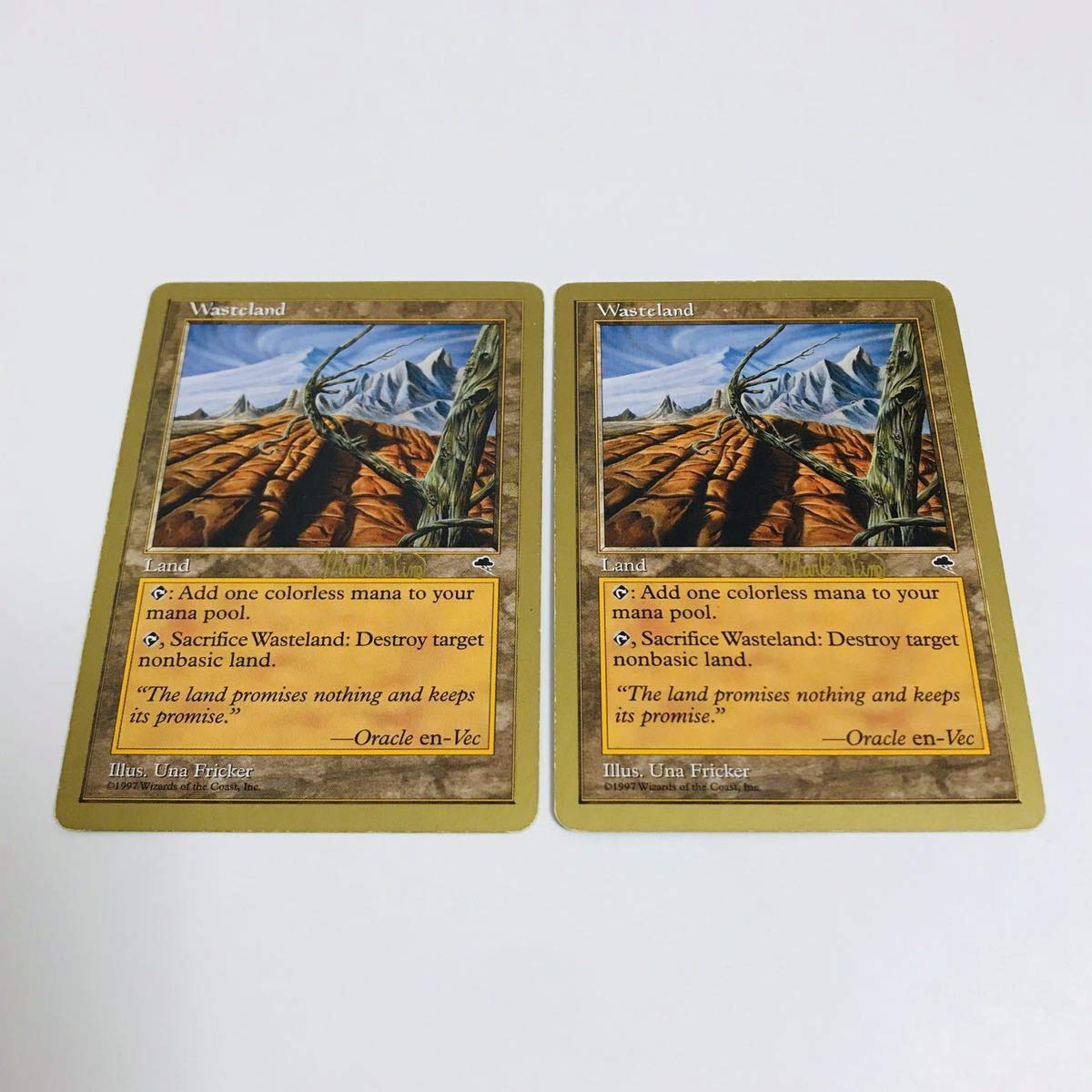 Amazon.co.jp: MTG 不毛の大地 Wasteland 金枠 英語版 2枚セット 