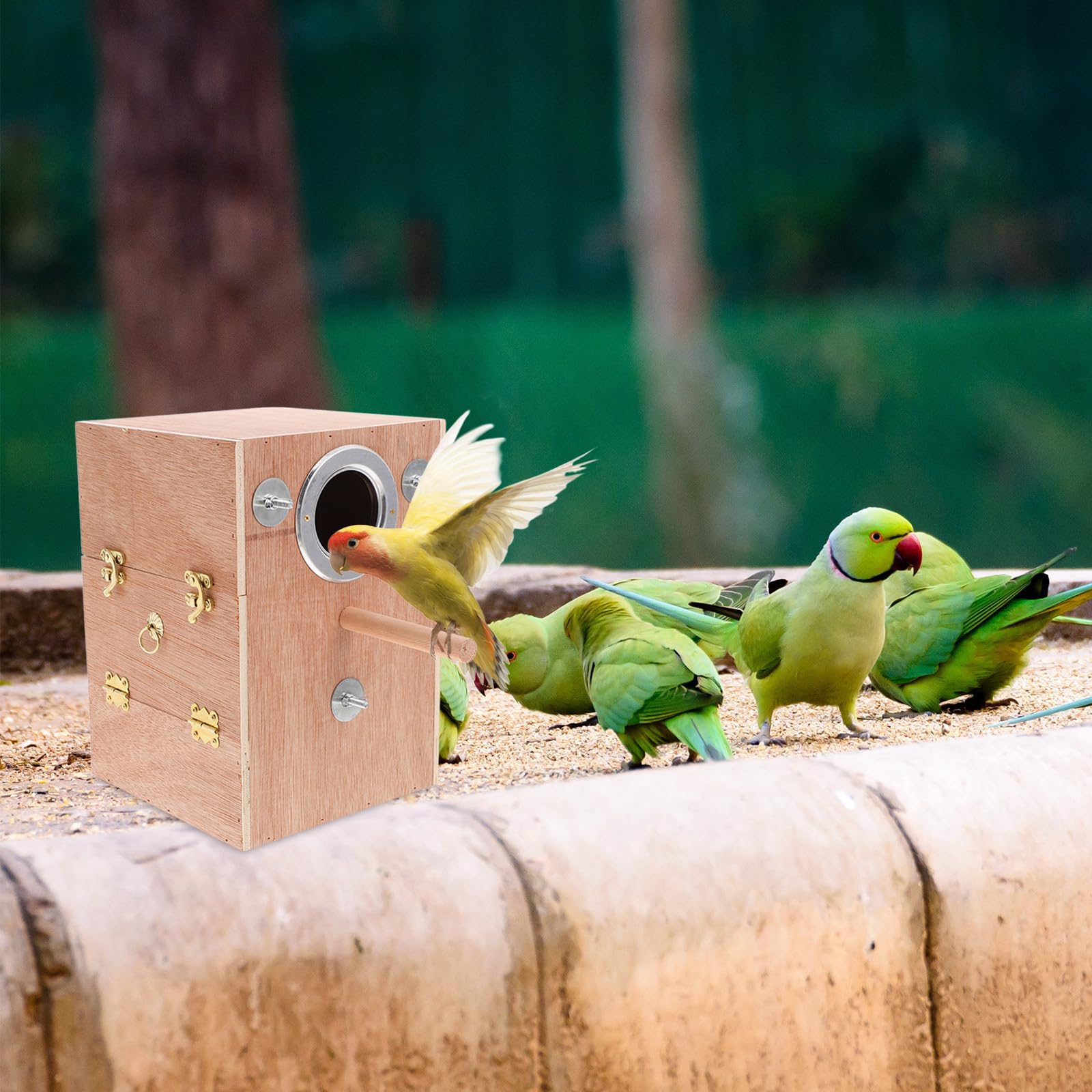 Caja de Cría para Pájaros Colgante de Madera, Refugio Seguro