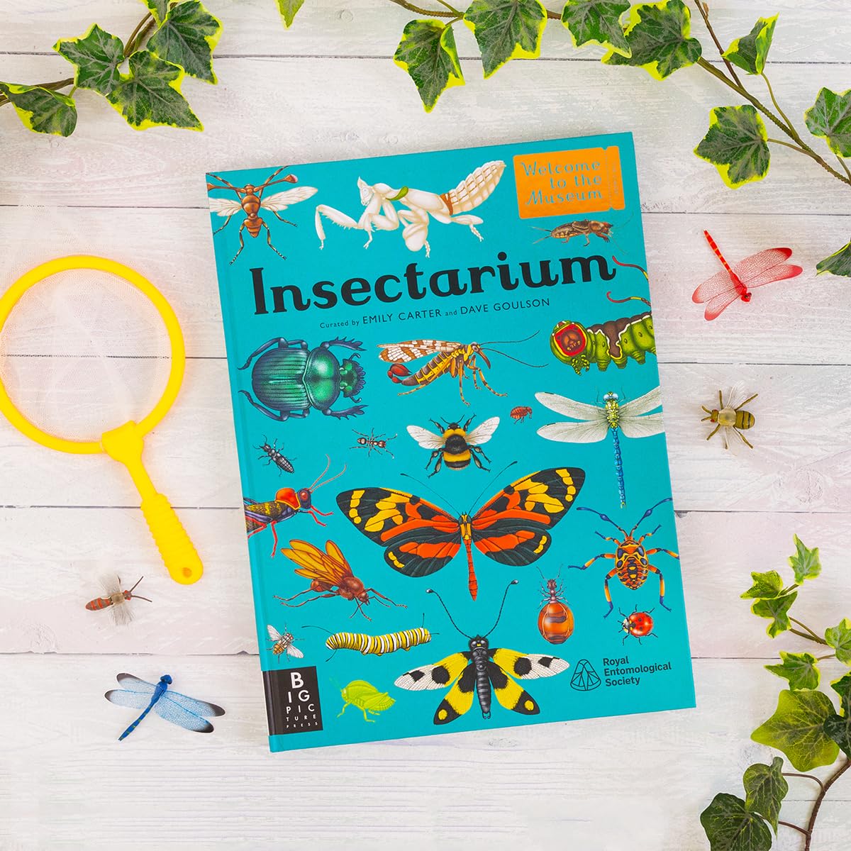 Insectarium: A lavishly illustrated guide to the world of insects in the bestselling Welcome to the Museum series