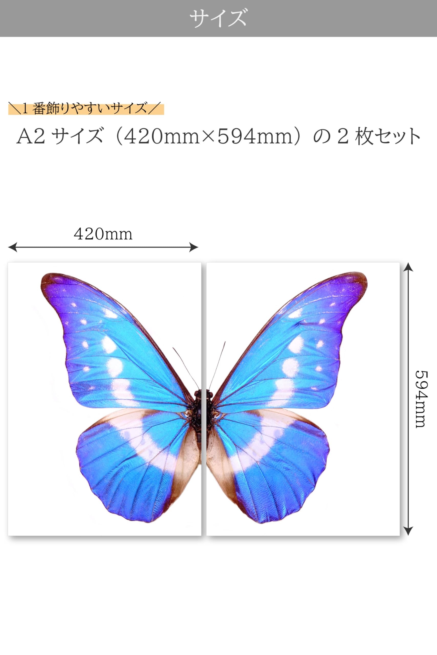 Amazon.co.jp: アートポスター 蝶 A2 2枚セット インテリア おしゃれ