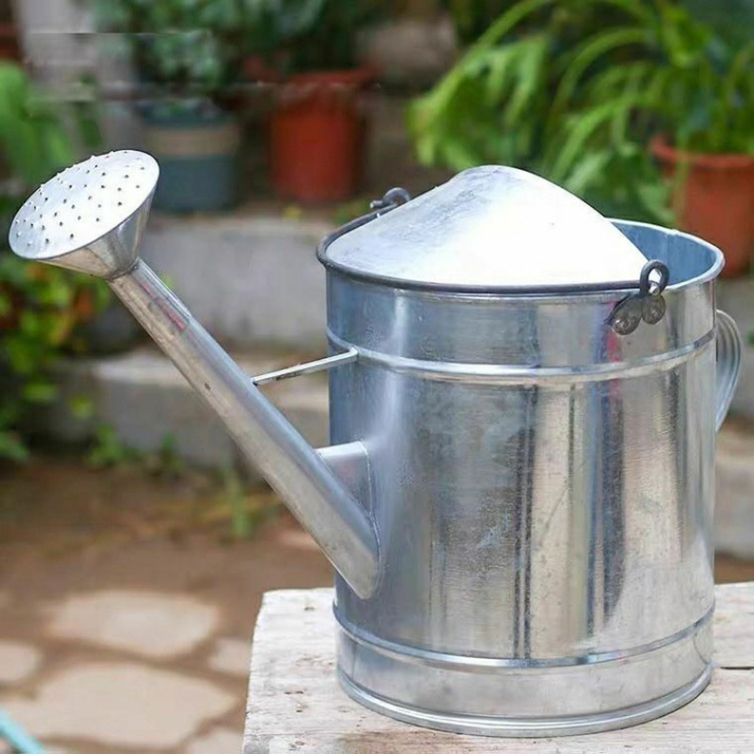 Regadera Metálica - Galvanizada de Calidad 5L/7L/10L/12L/15L/18L Gran Capacidad, Resistente Anti Óxido, Regadera Desmontable, para Grandes Jardines Pequeños Flores y Plantas,10L