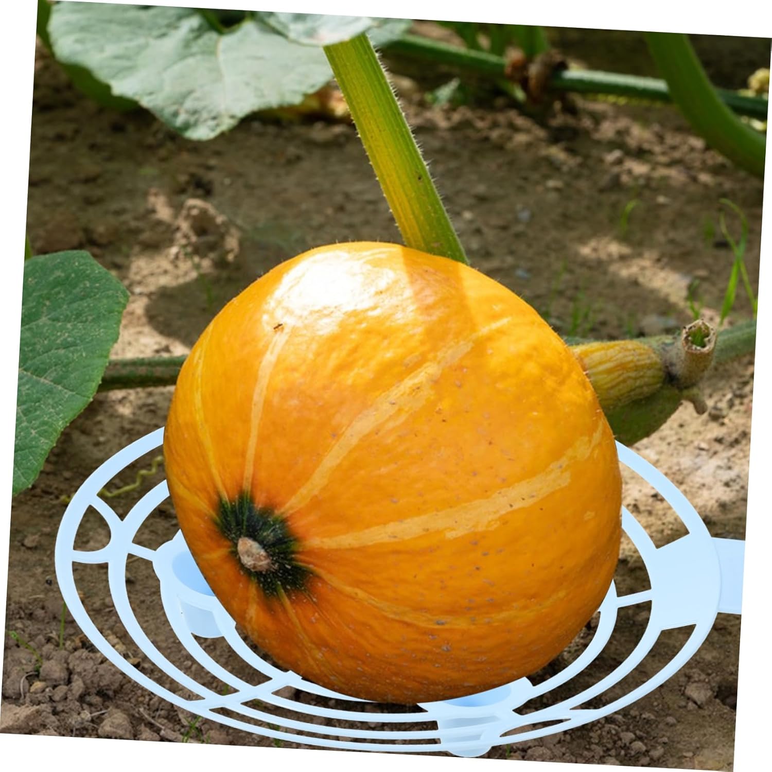 GALPADA 30pcs Plastic Strawberry Support Holders for Climbing Strawberry Plant Support Protector Garden Cages