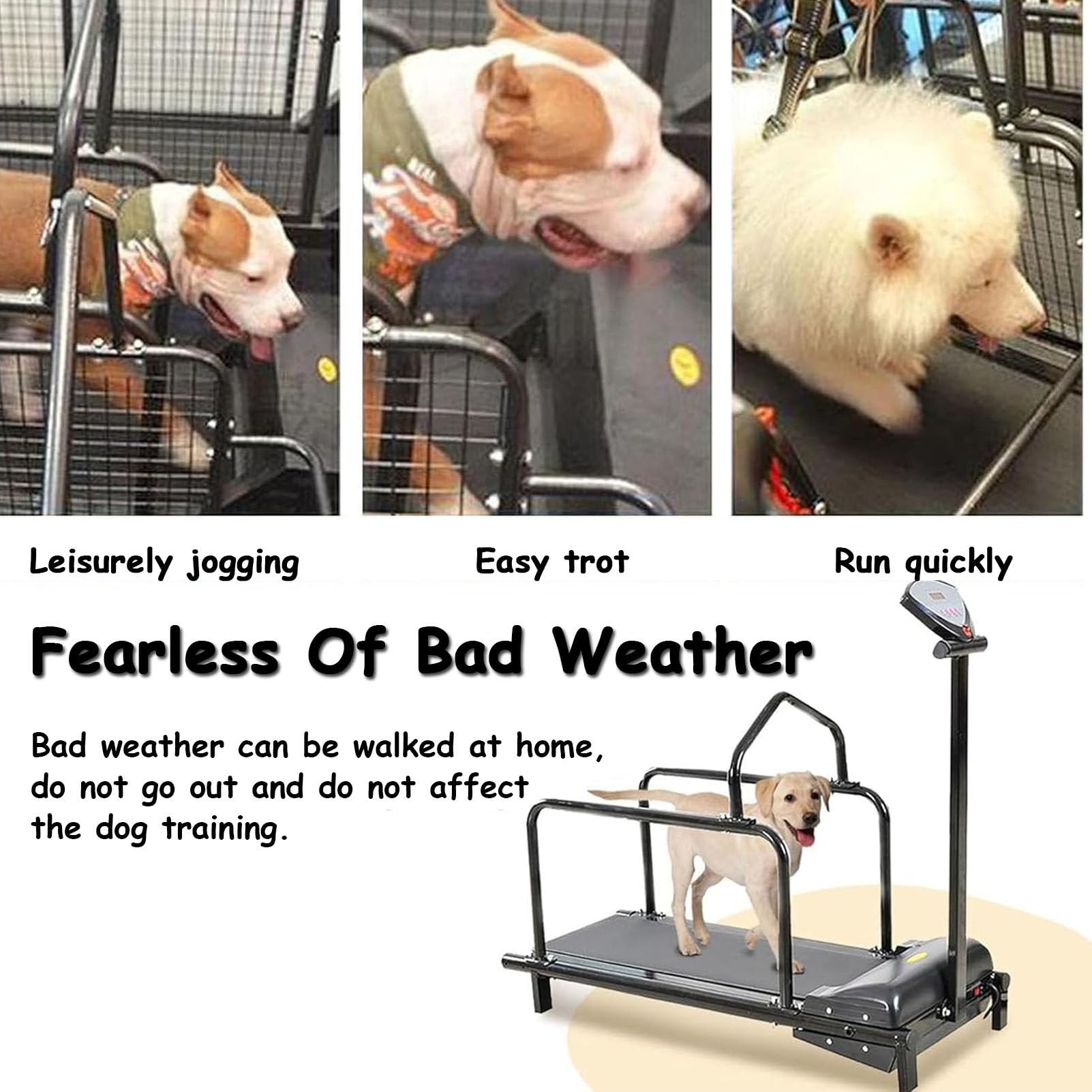 Tapis roulant per cani di piccola taglia – Attrezzo per esercizi per cani con display LCD, attrezzatura per esercizi interni ed esterni, strumento per la perdita di peso