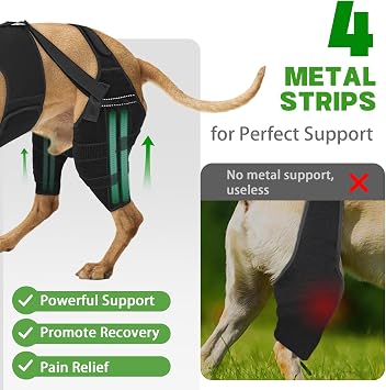 Dog Knee Braces for Back Leg Support,ACL Brace for Dogs(Solid Black, L)