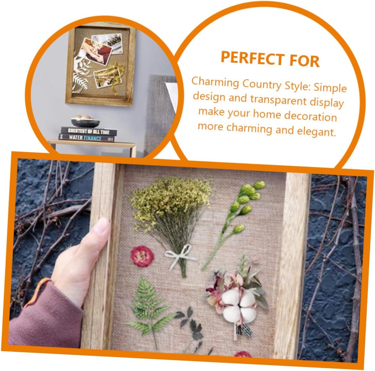 Cabilock Wooden Specimen Display Box Insect and Plant Showcase Shadow Box Frame for Collectibles for Keepsakes