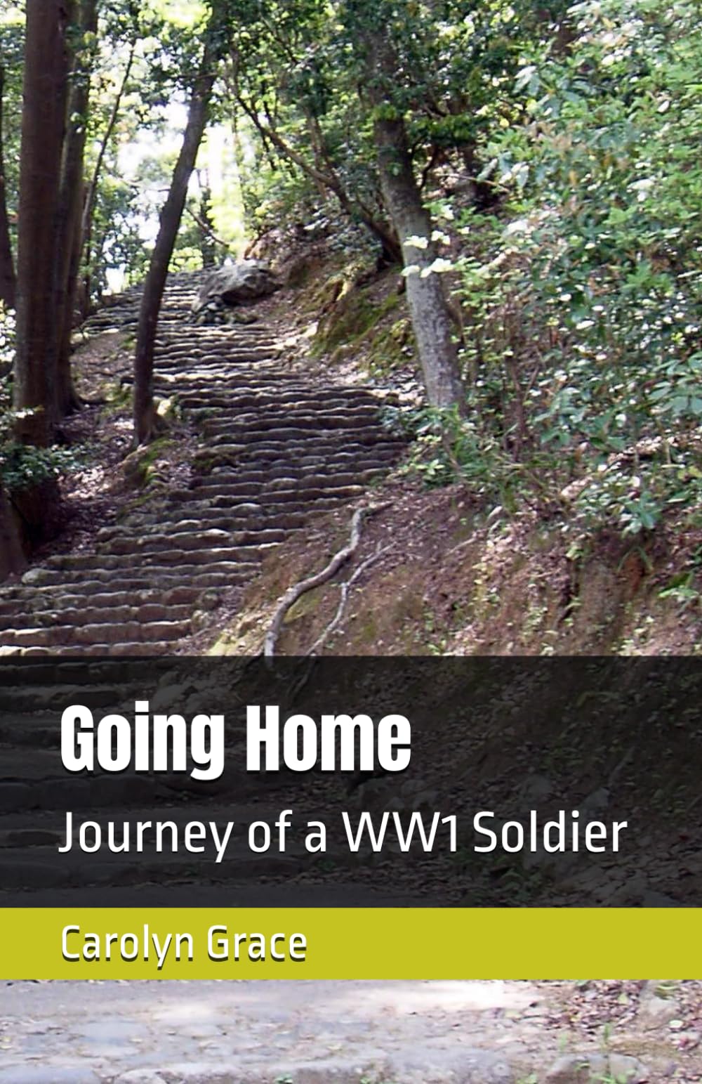 Going Home: Journey of a WW1 Soldier