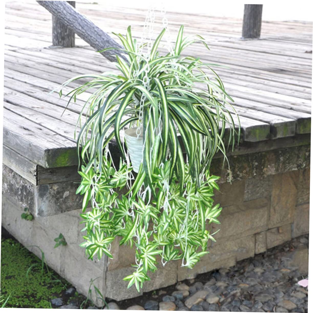 YARNOW 6pezzi Piante Sospese Artificiali Plastica Con Foglie Di Chlorophytum Per Decorazione Casa Ufficio e Feste Di Design Realistico Per Vasi e Ceste Appese