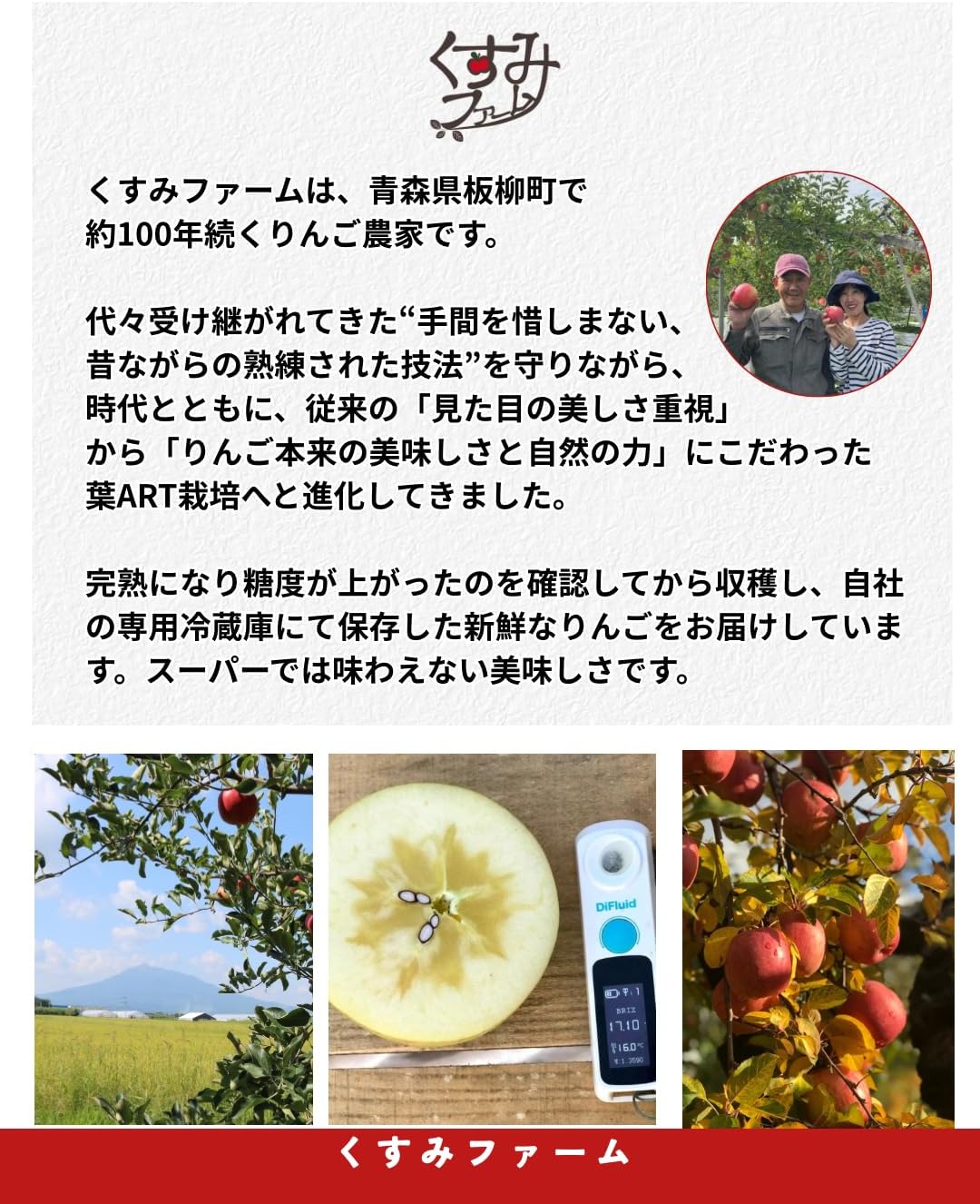 【糖度14度以上 葉とらず サンふじ ご家庭用】10kg 葉ARTエンジェル 家庭用 良品 農家直営 甘い 美味しい 【新潟】 果