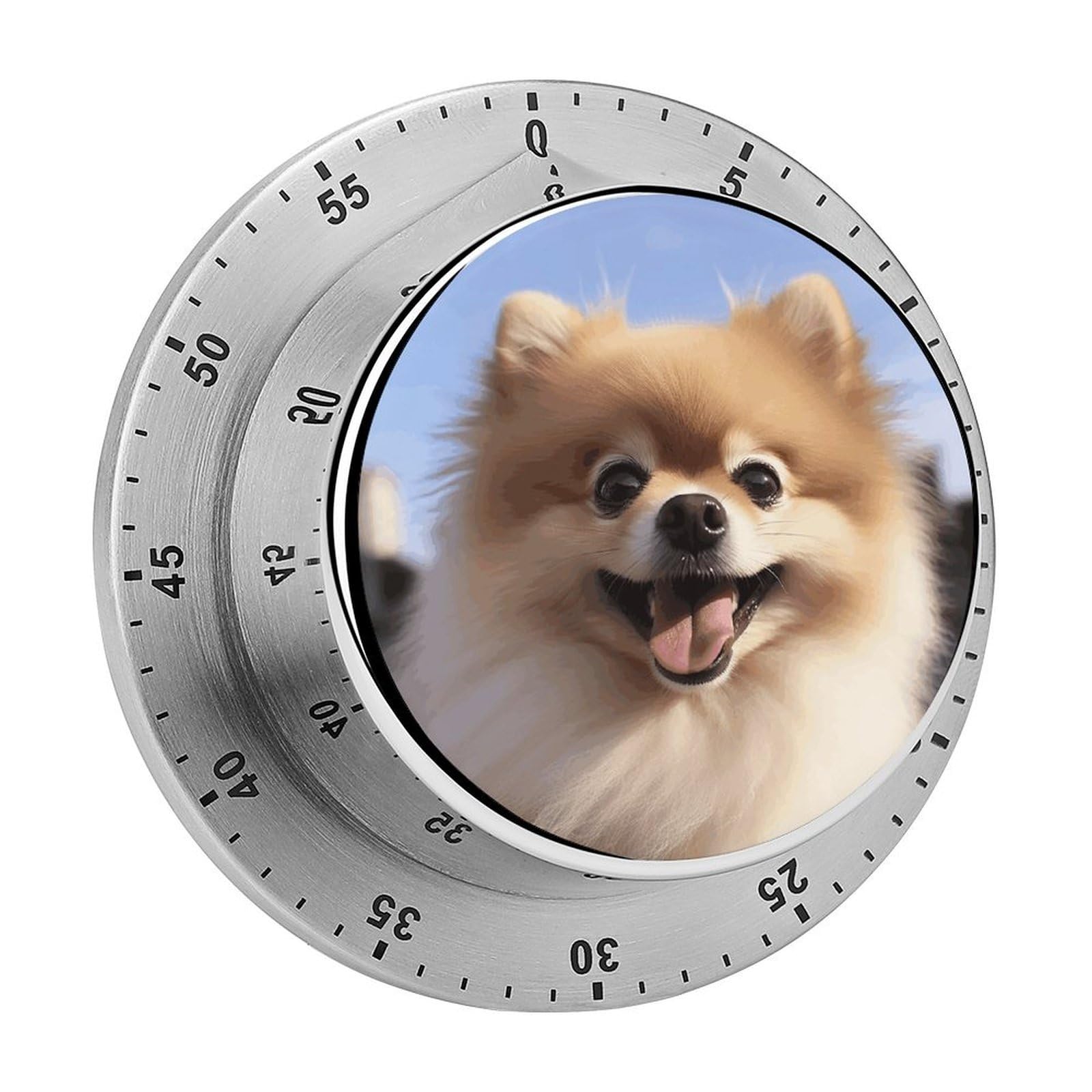 Happy Pomeranian Timers Adsorbable Stainless Steel Kitchen Timer Loud 60 Minute Visual Timer Portable Manual Countdown Timers Alarm Clock Time Management Tool for Home Work
