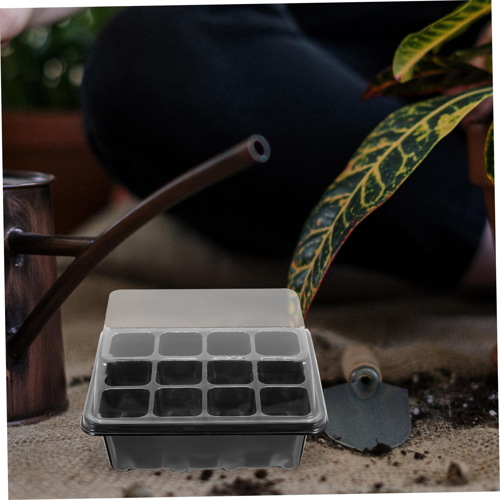Yardwe 3 Juegos Caja De Plántulas Semillas Planta Bandeja De Inicio para El Hogar Bandeja De Inicio De 12 Agujeros Bandejas De Cultivo De Hortalizas Bandejas De Cultivo De Invernadero