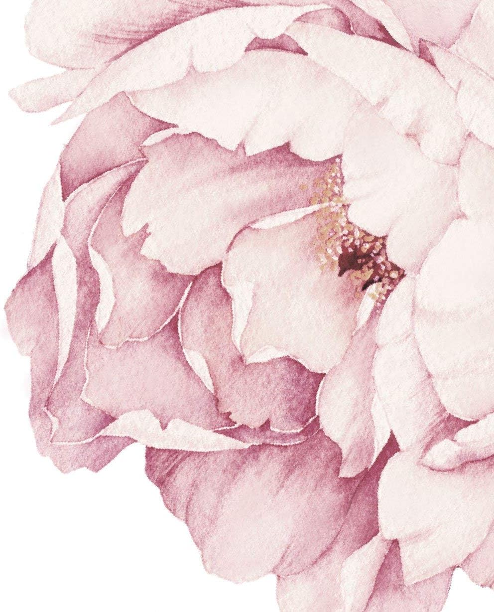 Peony Flowers Wall Sticker - Vintage Pink - by Simple Shapes