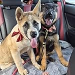 Review Image by Stella Oh