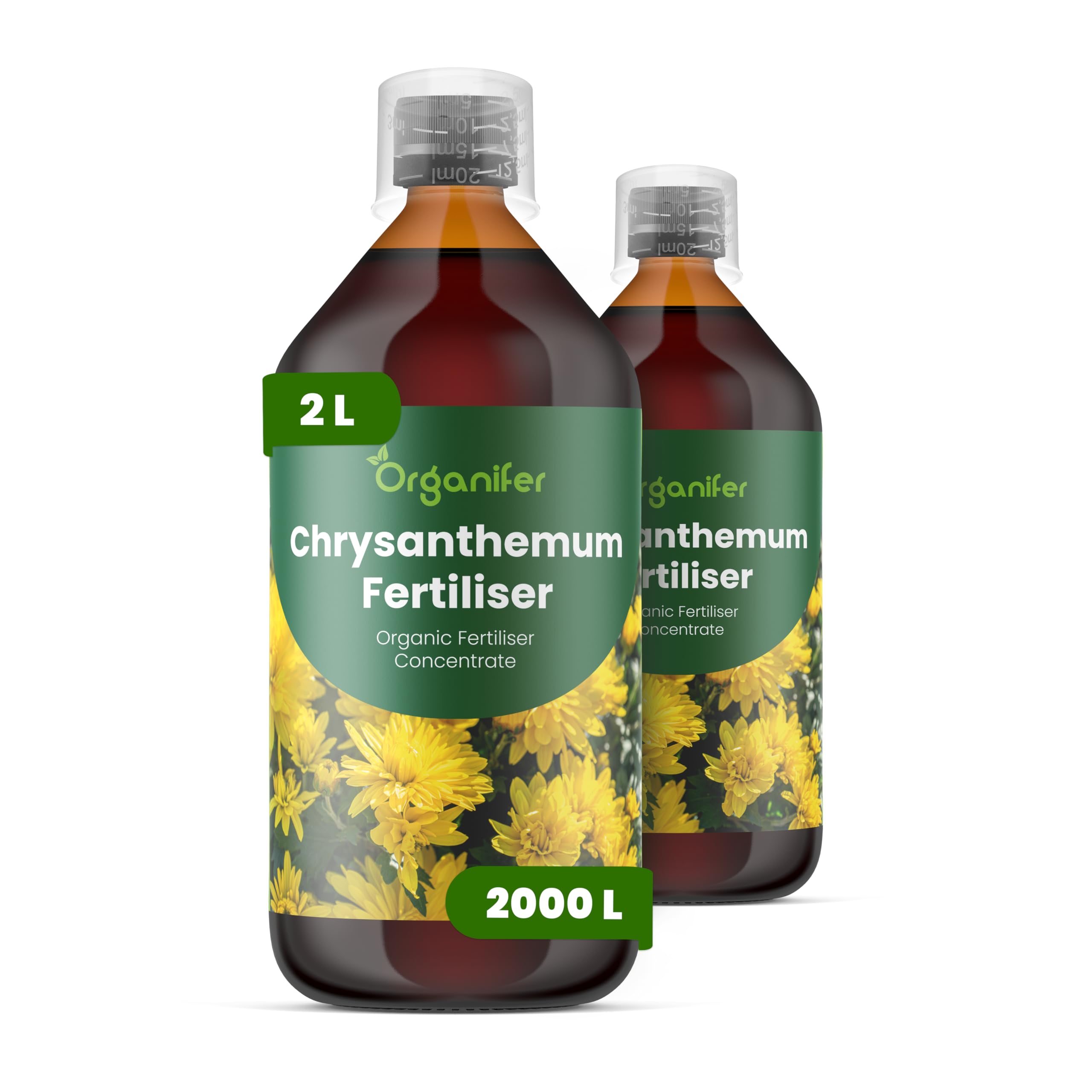 Concime Liquido - 2x1L - Per Crisantemi - NPK 2-1-8 | Per Crisantemi - Foglie Rigogliose E Fioritura Colorata - Organifer
