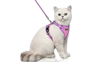 Rabbitgoo Cat Harness and Leash Set: Escape-Proof Relief for Active Kitties