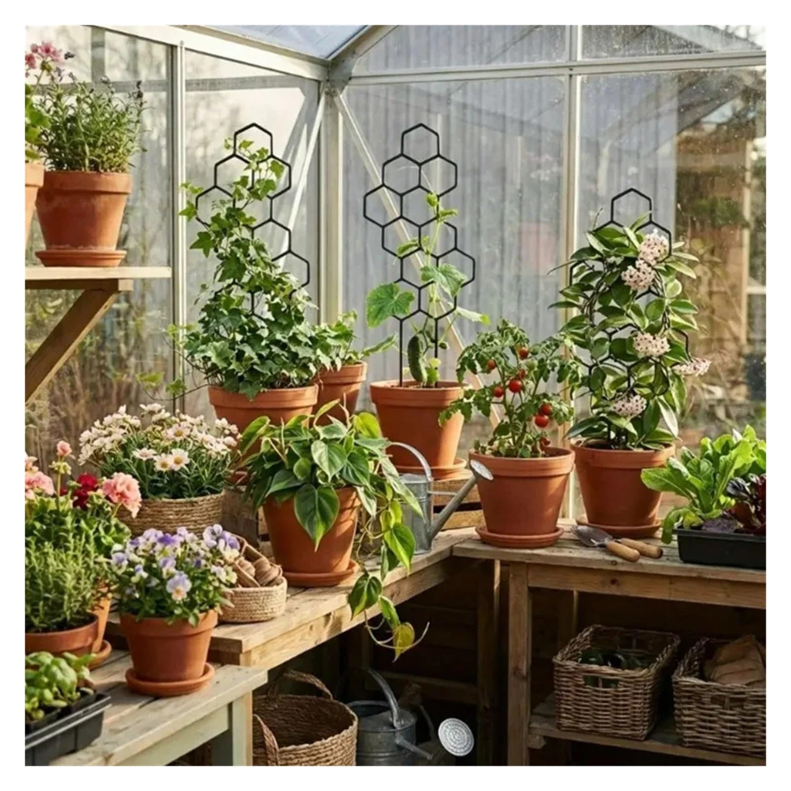 Tuteurs pour Plantes Support d'escalade en Treillis for Plantes