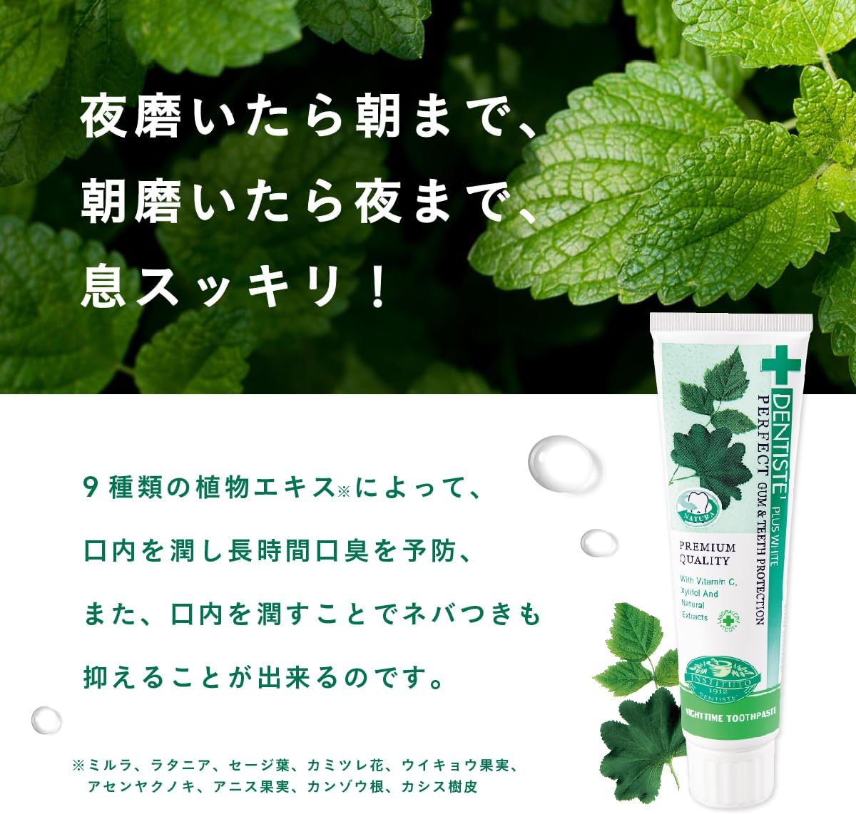 デンティス エチケット ペースト ハミガキ粉 100g ミント