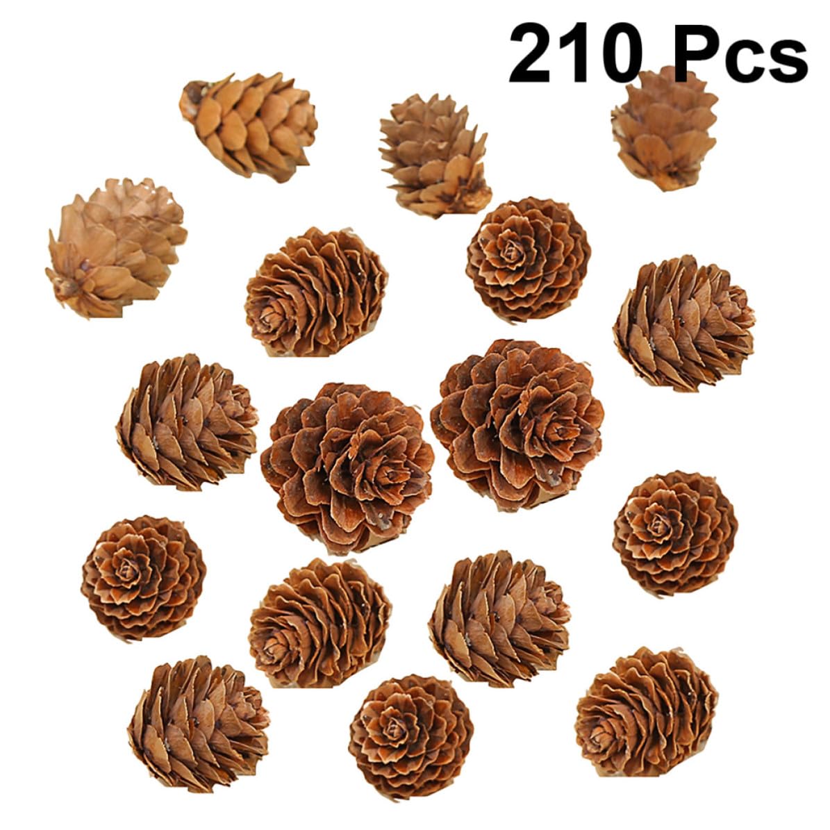 DOITOOL 210 Piezas Piñas Secas Naturales de 2-3 Cm para Adornos Navideños y Manualidades, Decoración para Árbol de Navidad y Acción de Gracias Forma Vegetal Auténtica