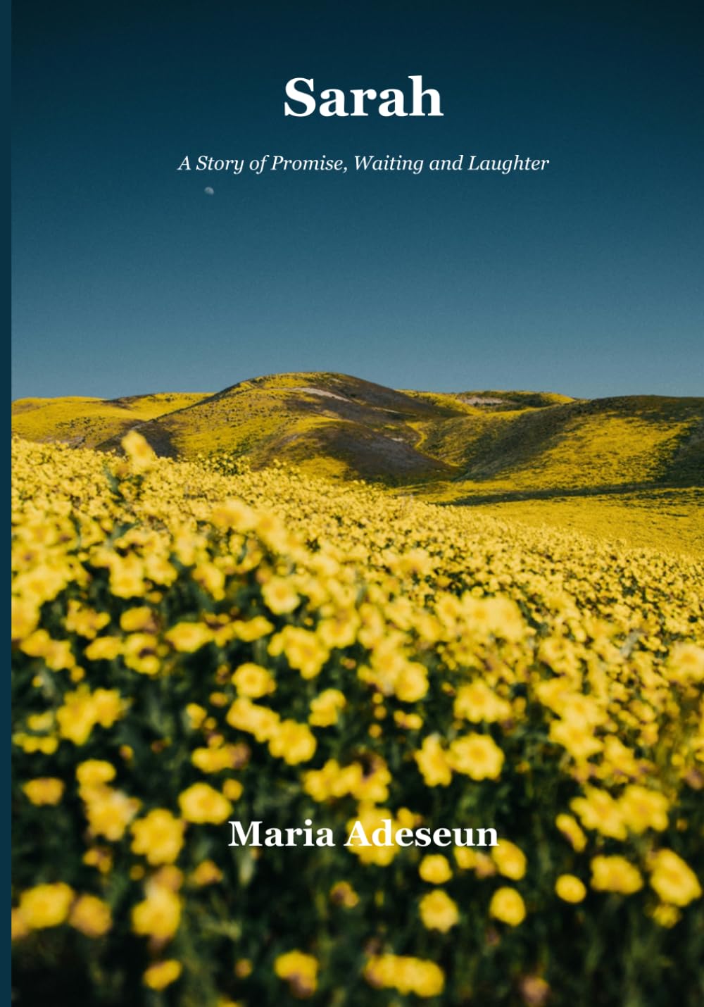 Sarah: A Story Of Promise, Waiting and Laughter (Biblical Portraits)