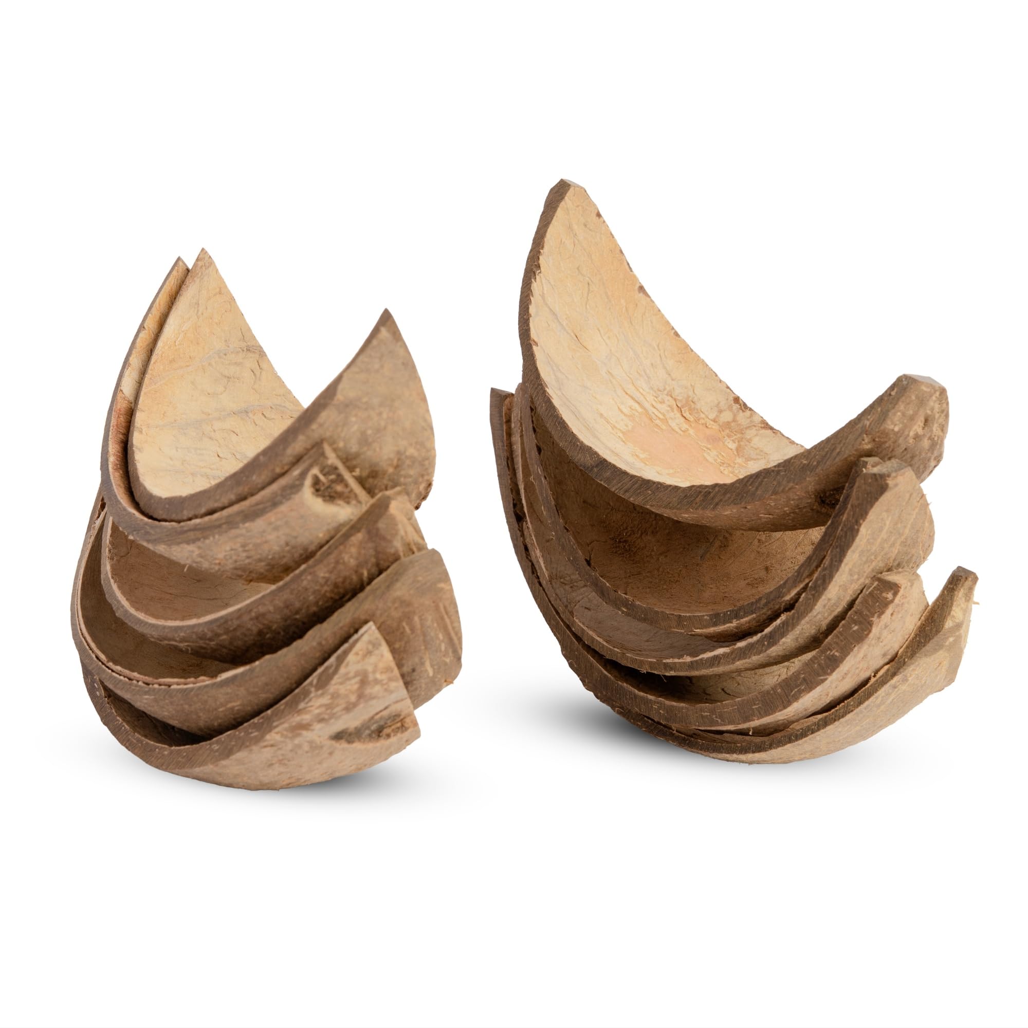 Handmade Coconut Shell Serving Boats - Set of 10 -2