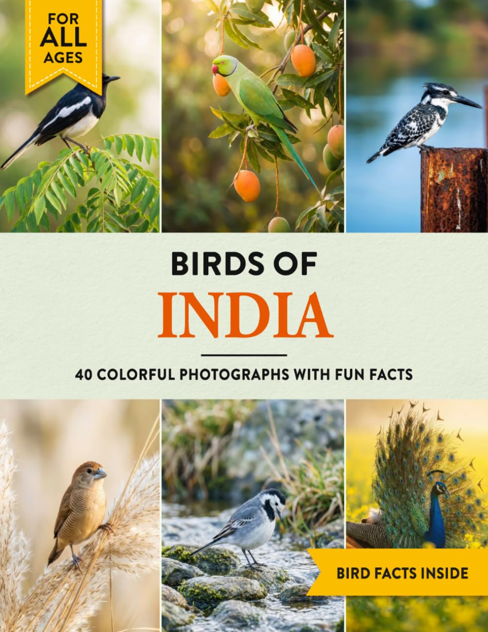 Birds of India: A Birdwatching Picture Book with Fun Facts and Photography for Kids, Adults & Birders