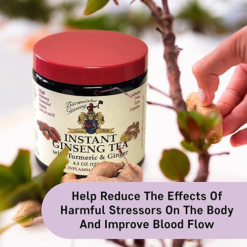 Miniatura 8 de Burmeister Ginseng Té instantáneo de ginseng americano, té Panax fácil de preparar caliente o frío, se disuelve en agua fría