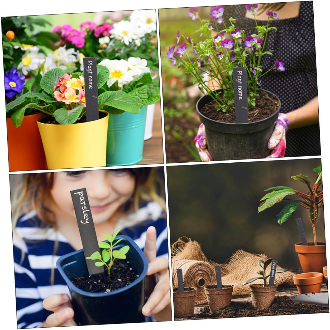 Balacoo 12pcs Plant Labels for Garden and Lightweight Name Tags for Flower Herb and Vegetable Marking Weatherproof Design for Easy Identification Pots and Beds