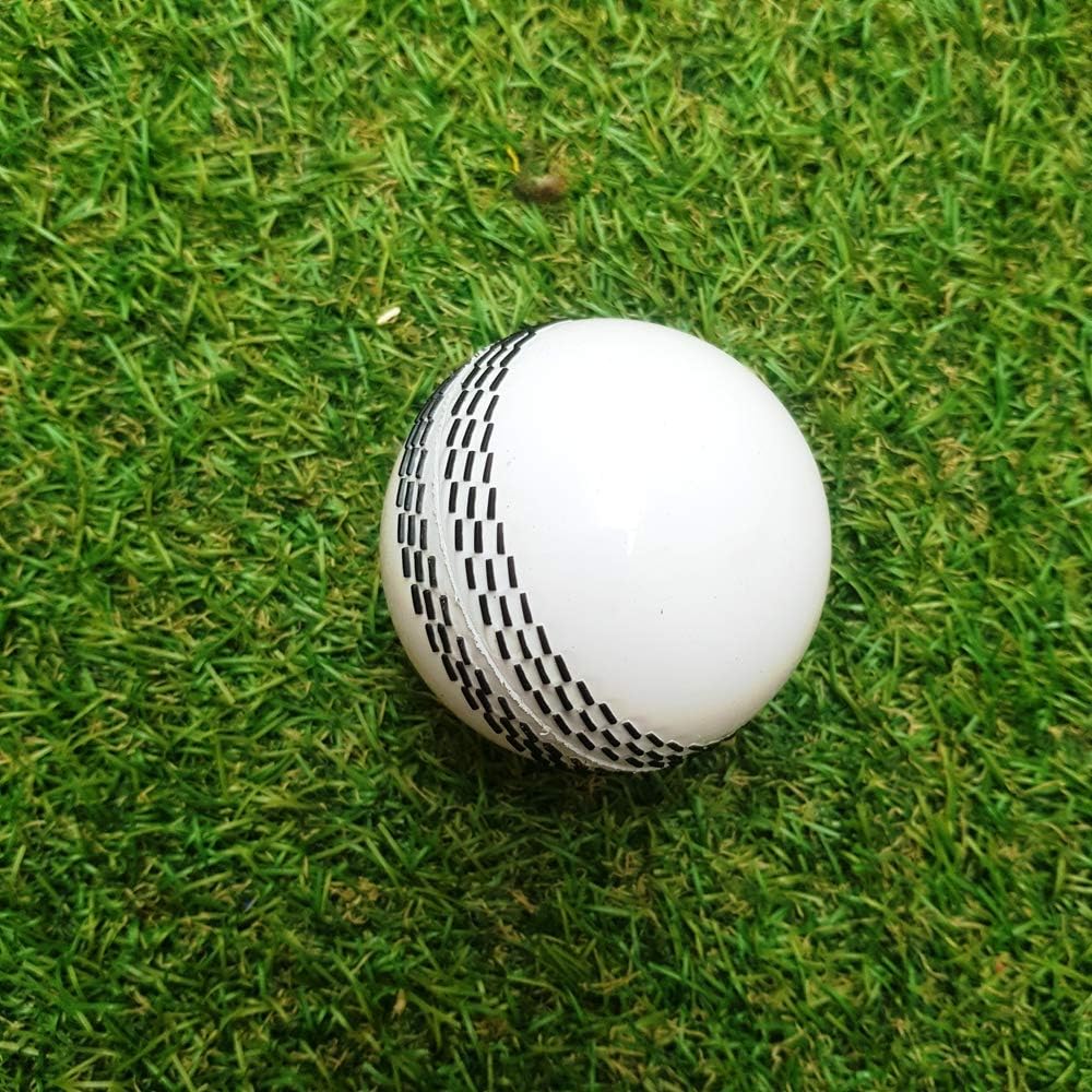 i10 T20 Cricket Ball – Silicone - Wind - sRubber Mix, Durable Training & Match Play, Lightweight 1 lb, Multi-Layer Construction, Lasts 150 Overs (White/Red)