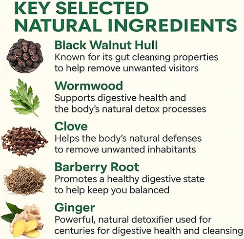 Miniatura 2 de Wellvia - Limpieza intestinal, protector de pureza, apoyo intestinal y colon, sin OMG para mujeres y hombres, casco de nogal negro, ajenjo, jengibre